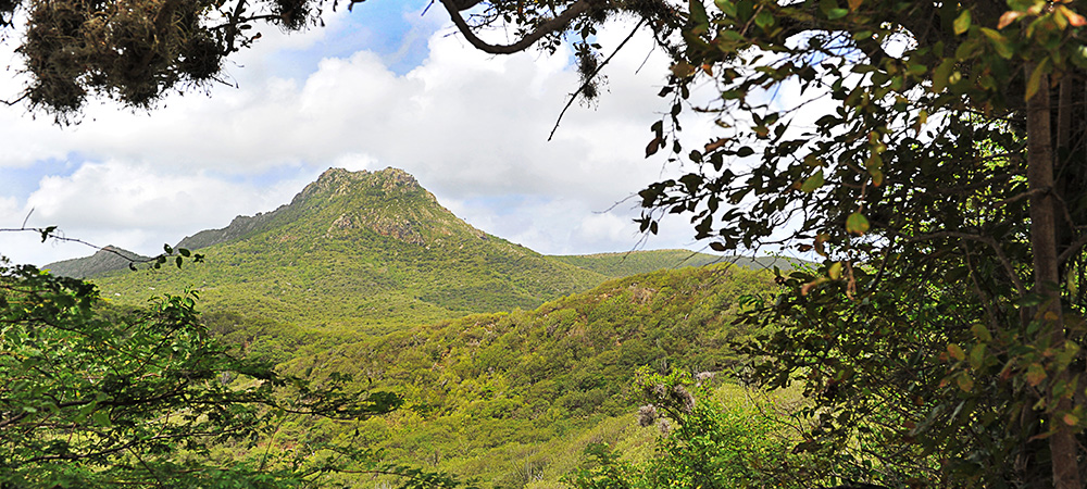 Le parc Christoffel