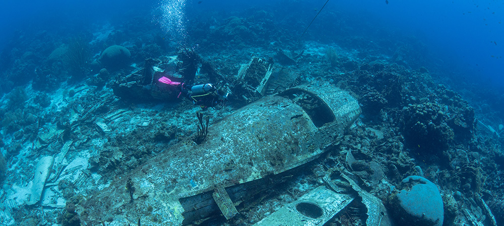 Elvin’s Plane Wreck