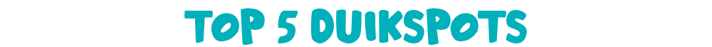 Top 5 duikspots