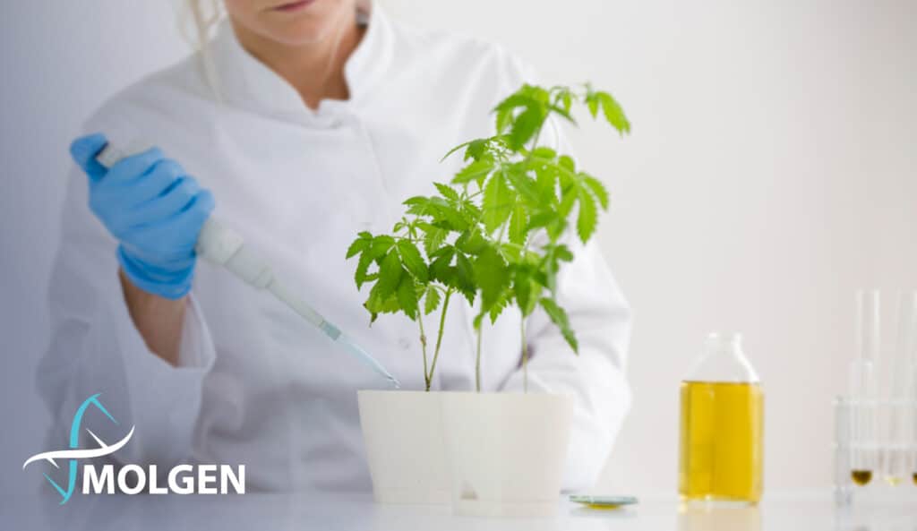 MolGen to participate at crop innovation & business fair in Ghent, Belgium