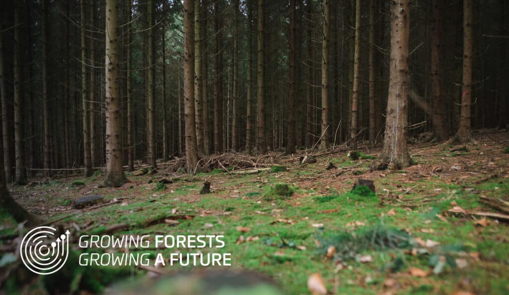 Mercer today announces the launch of its programme Growing forests – Growing a future to support forest owners in Germany
