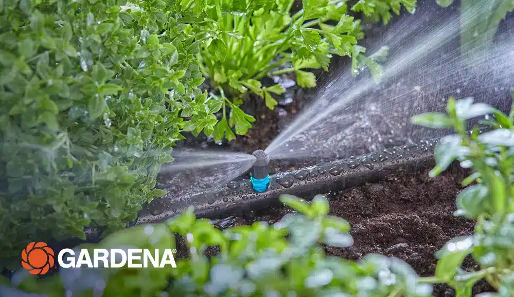 GARDENA: Slim watergeven: hoe zorg ik voor mijn planten en voor het klimaat?